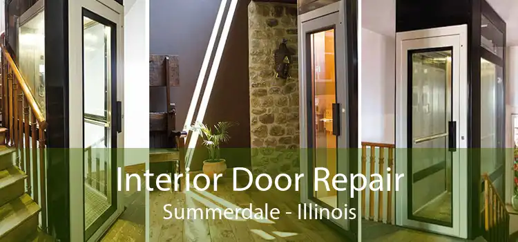 Interior Door Repair Summerdale - Illinois