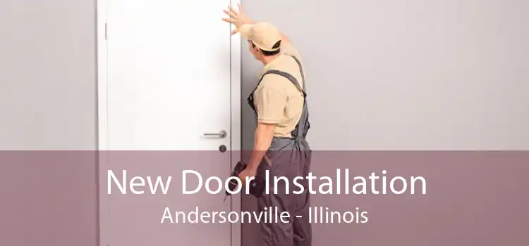 New Door Installation Andersonville - Illinois