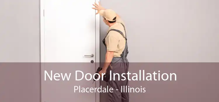 New Door Installation Placerdale - Illinois