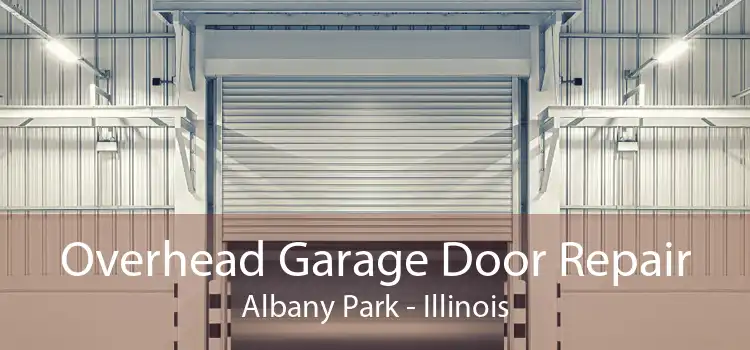 Overhead Garage Door Repair Albany Park - Illinois