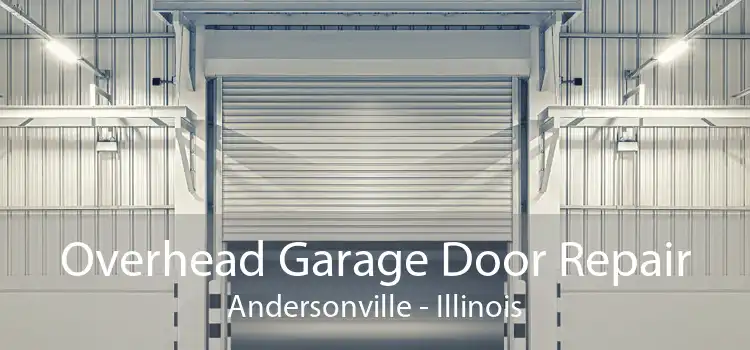 Overhead Garage Door Repair Andersonville - Illinois