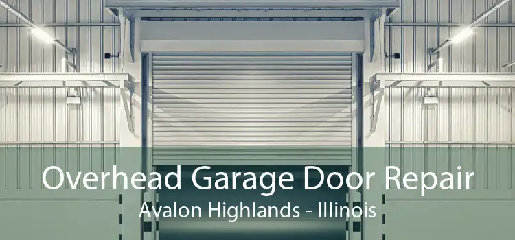 Overhead Garage Door Repair Avalon Highlands - Illinois