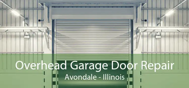 Overhead Garage Door Repair Avondale - Illinois