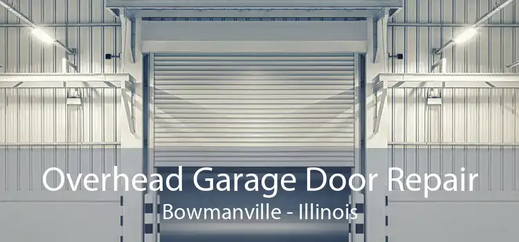 Overhead Garage Door Repair Bowmanville - Illinois