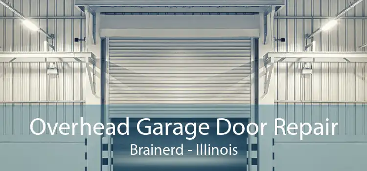 Overhead Garage Door Repair Brainerd - Illinois