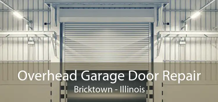 Overhead Garage Door Repair Bricktown - Illinois