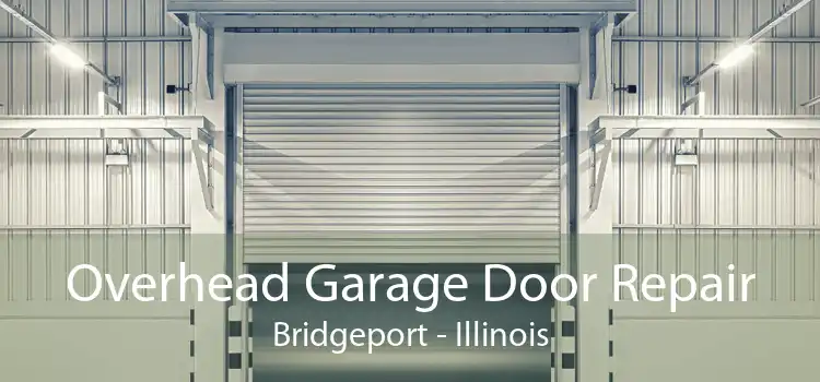 Overhead Garage Door Repair Bridgeport - Illinois