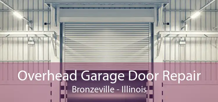 Overhead Garage Door Repair Bronzeville - Illinois