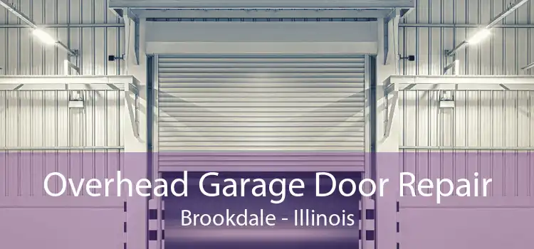 Overhead Garage Door Repair Brookdale - Illinois