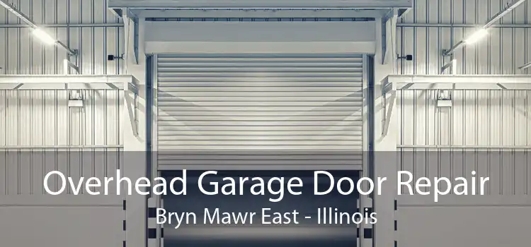 Overhead Garage Door Repair Bryn Mawr East - Illinois