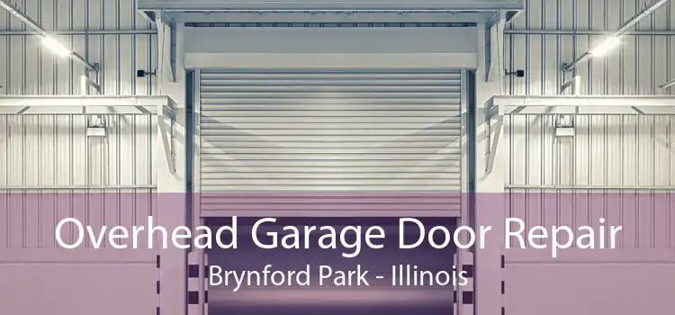 Overhead Garage Door Repair Brynford Park - Illinois