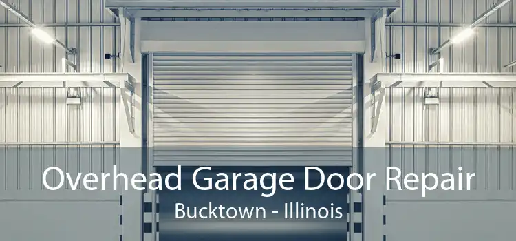 Overhead Garage Door Repair Bucktown - Illinois