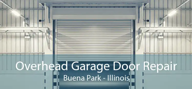 Overhead Garage Door Repair Buena Park - Illinois