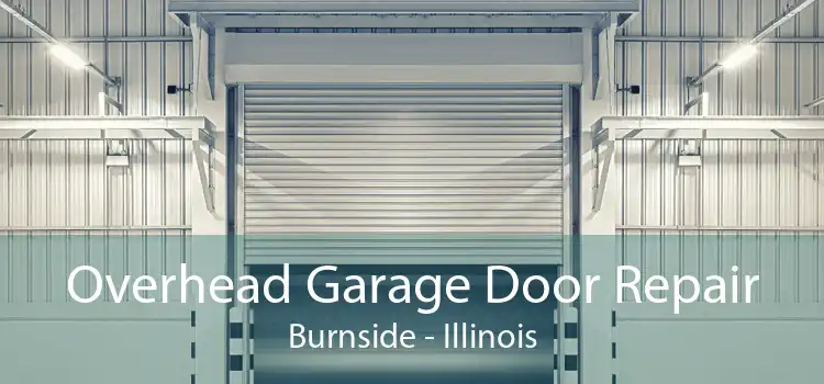 Overhead Garage Door Repair Burnside - Illinois