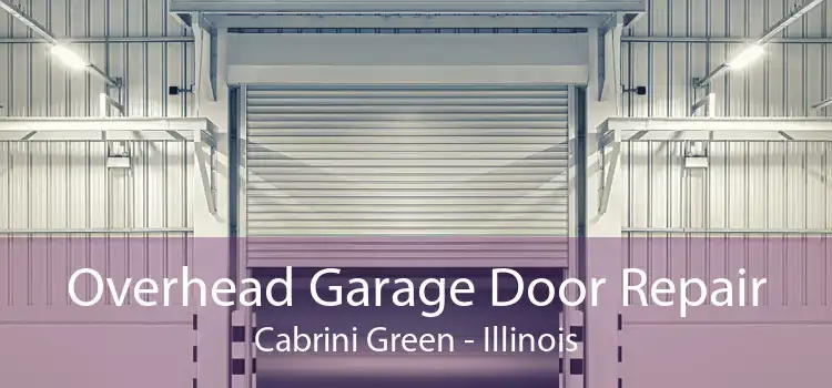 Overhead Garage Door Repair Cabrini Green - Illinois