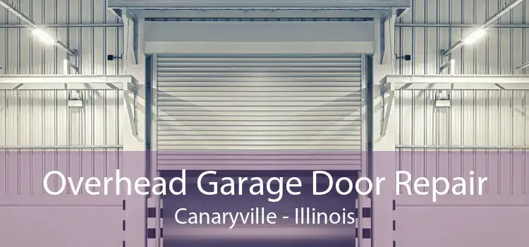 Overhead Garage Door Repair Canaryville - Illinois