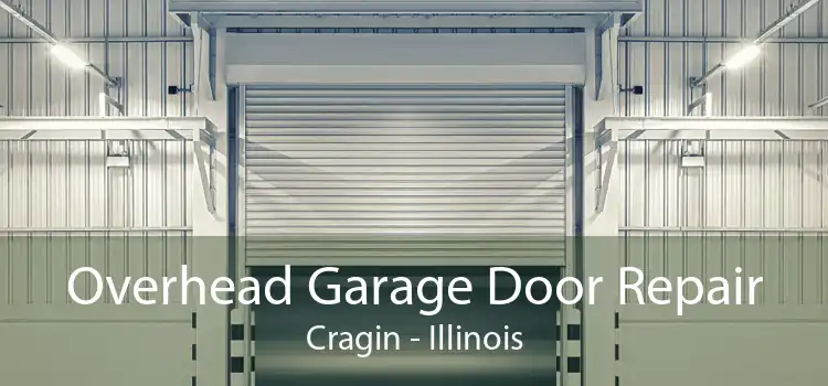 Overhead Garage Door Repair Cragin - Illinois