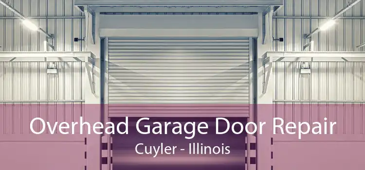 Overhead Garage Door Repair Cuyler - Illinois