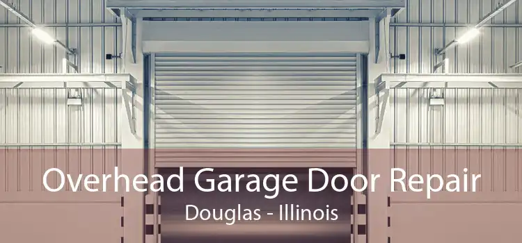 Overhead Garage Door Repair Douglas - Illinois