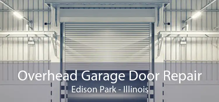 Overhead Garage Door Repair Edison Park - Illinois