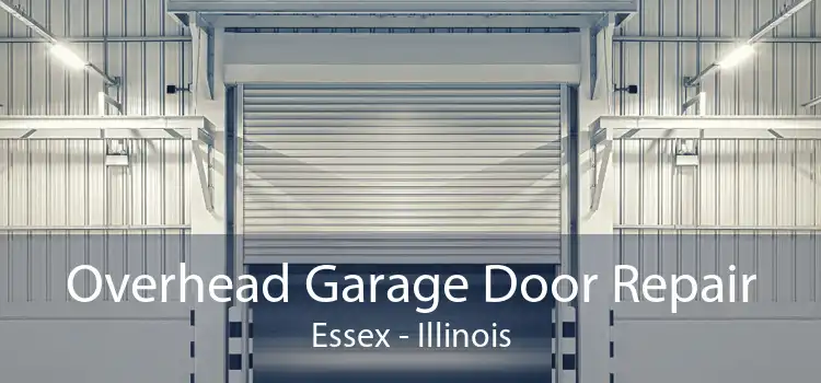 Overhead Garage Door Repair Essex - Illinois