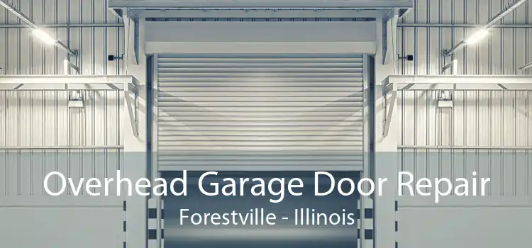 Overhead Garage Door Repair Forestville - Illinois