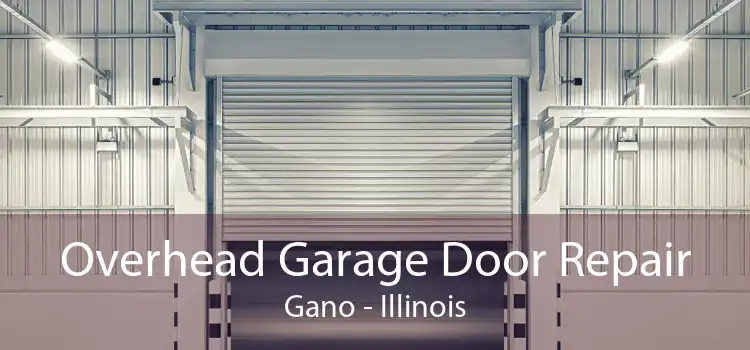 Overhead Garage Door Repair Gano - Illinois