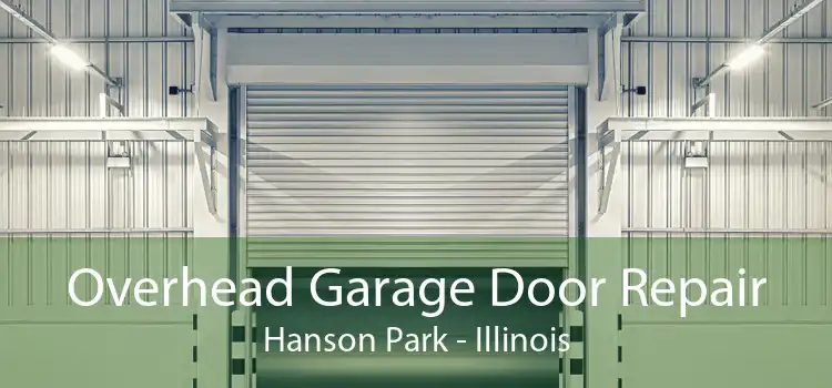 Overhead Garage Door Repair Hanson Park - Illinois