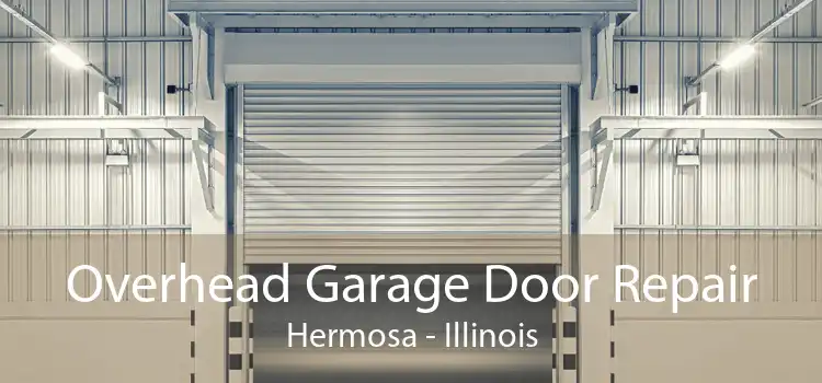 Overhead Garage Door Repair Hermosa - Illinois