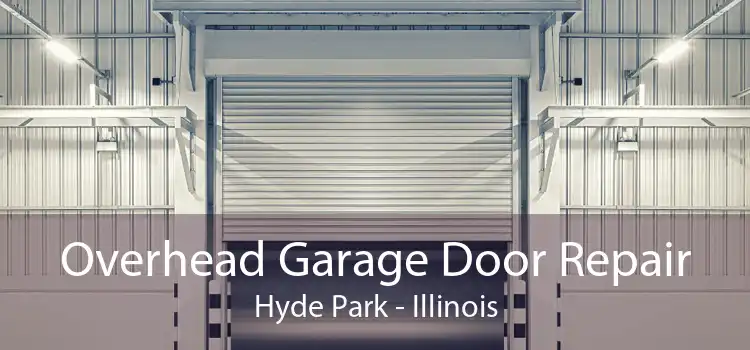 Overhead Garage Door Repair Hyde Park - Illinois