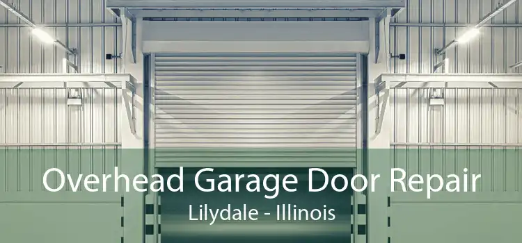 Overhead Garage Door Repair Lilydale - Illinois