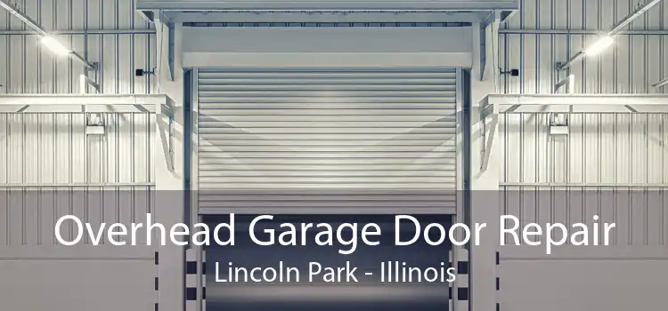 Overhead Garage Door Repair Lincoln Park - Illinois