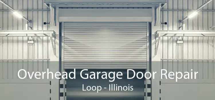 Overhead Garage Door Repair Loop - Illinois