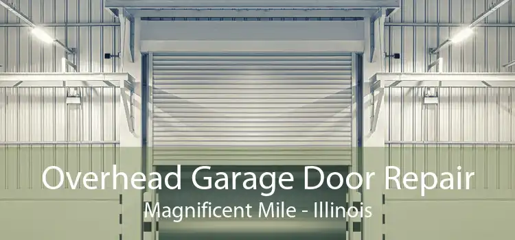 Overhead Garage Door Repair Magnificent Mile - Illinois