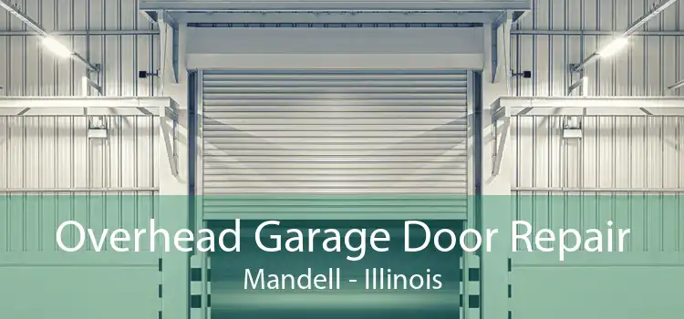 Overhead Garage Door Repair Mandell - Illinois