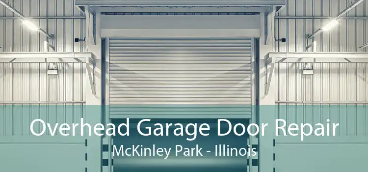 Overhead Garage Door Repair McKinley Park - Illinois