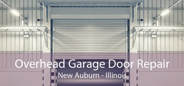 Overhead Garage Door Repair New Auburn - Illinois