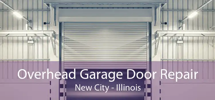 Overhead Garage Door Repair New City - Illinois