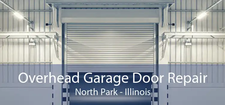 Overhead Garage Door Repair North Park - Illinois