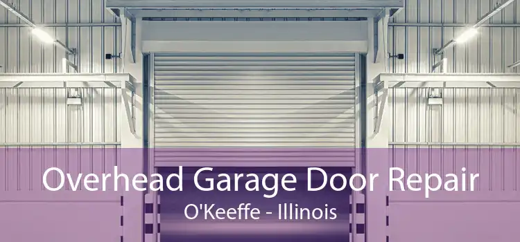 Overhead Garage Door Repair O'Keeffe - Illinois