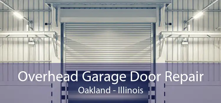 Overhead Garage Door Repair Oakland - Illinois