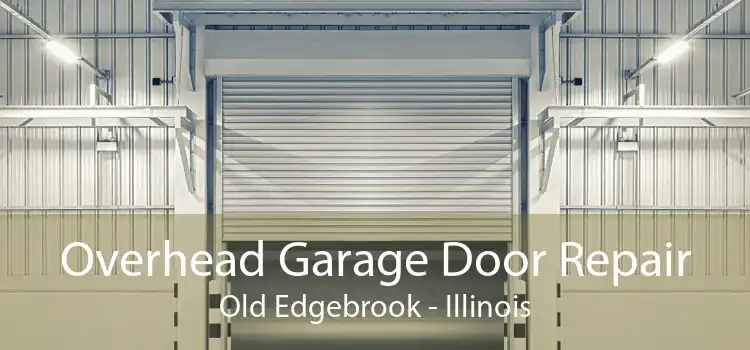 Overhead Garage Door Repair Old Edgebrook - Illinois