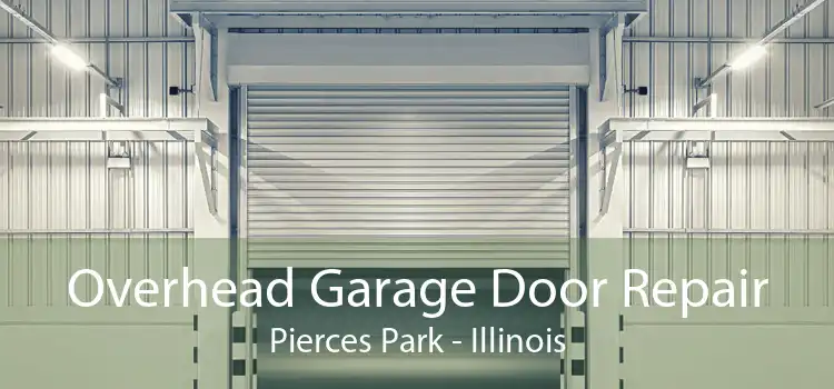 Overhead Garage Door Repair Pierces Park - Illinois