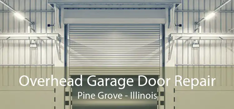 Overhead Garage Door Repair Pine Grove - Illinois