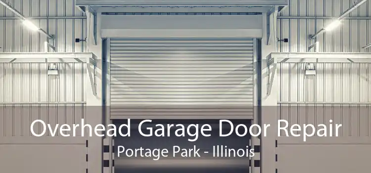 Overhead Garage Door Repair Portage Park - Illinois