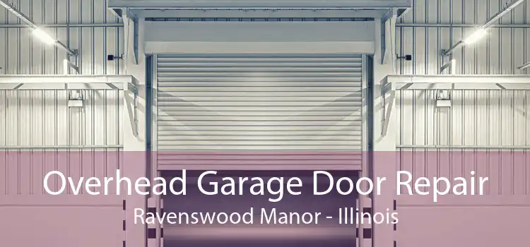 Overhead Garage Door Repair Ravenswood Manor - Illinois