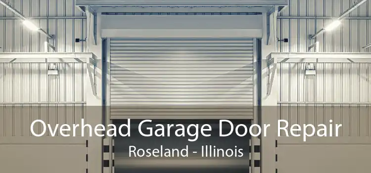 Overhead Garage Door Repair Roseland - Illinois