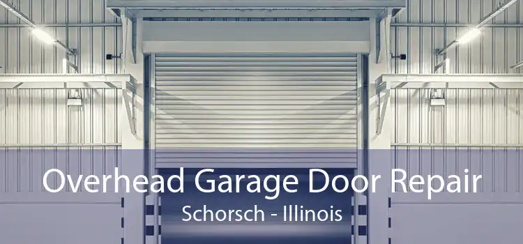 Overhead Garage Door Repair Schorsch - Illinois