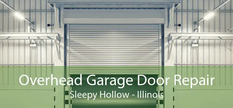 Overhead Garage Door Repair Sleepy Hollow - Illinois