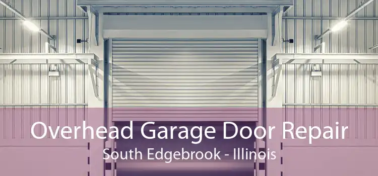 Overhead Garage Door Repair South Edgebrook - Illinois